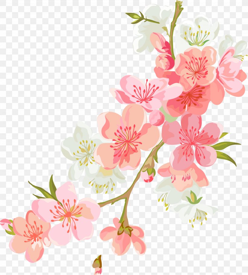 Flower Euclidean Vector Computer File, PNG, 1804x1999px, Flower, Blossom, Branch, Cherry Blossom, Color Download Free