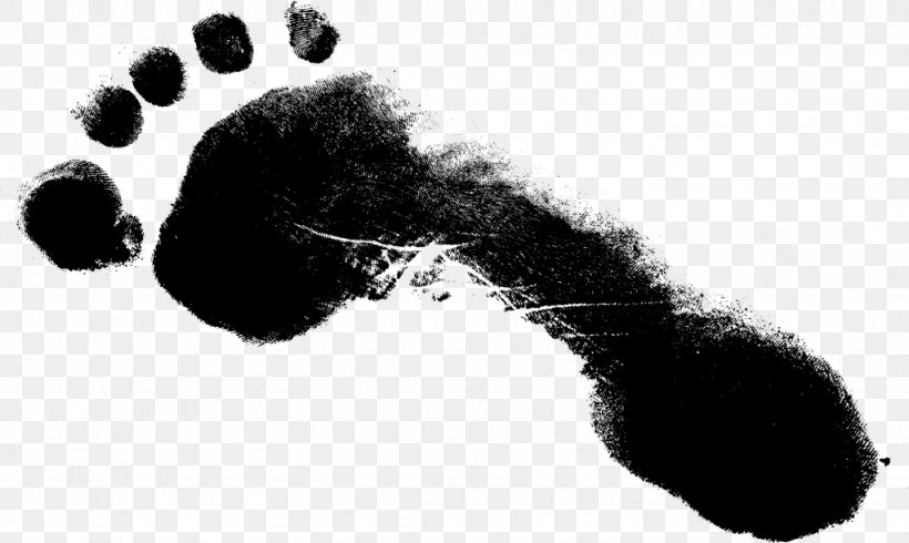 Footprint, PNG, 1024x613px, Footprint, Audio, Audio Equipment, Barefoot, Black And White Download Free