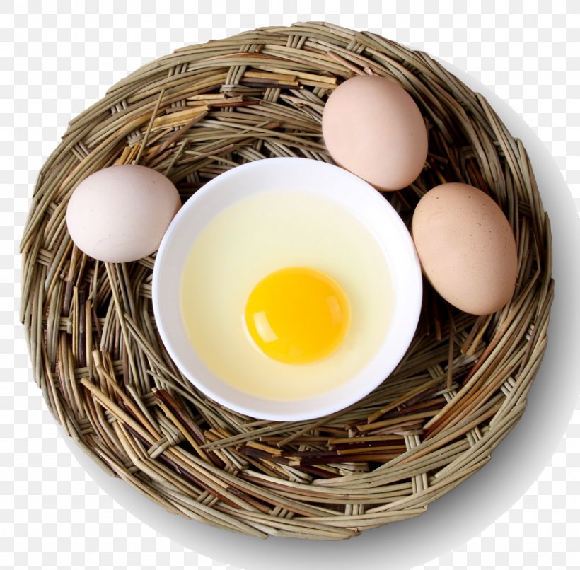 Egg Yolk Egg White Egg, PNG, 859x845px, Egg, Chicken Egg, Egg White, Eggshell, Food Download Free