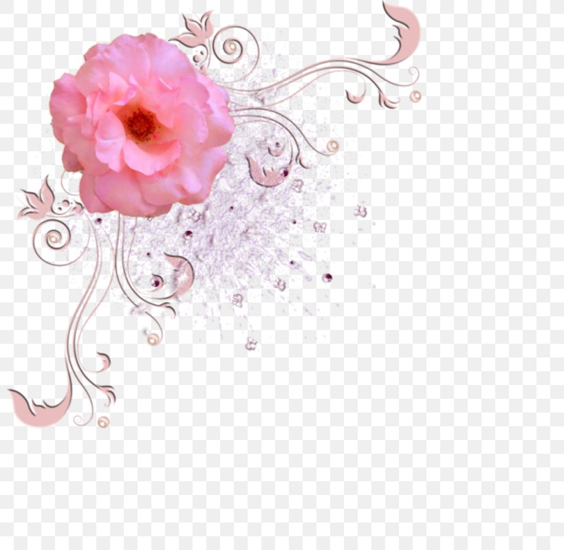 Photography Clip Art, PNG, 800x800px, Photography, Floral Design, Flower, Flowering Plant, Garden Roses Download Free