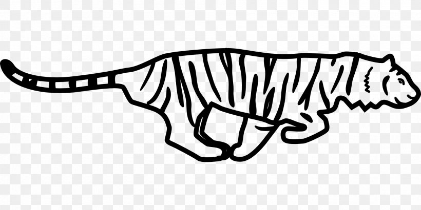 White Tiger Black Tiger Clip Art, PNG, 1920x960px, Tiger, Animal Figure, Area, Big Cats, Black Download Free
