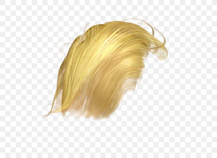 Wig Hair, PNG, 600x600px, 3d Computer Graphics, Wig, Blond, Donald Trump, Gimp Download Free