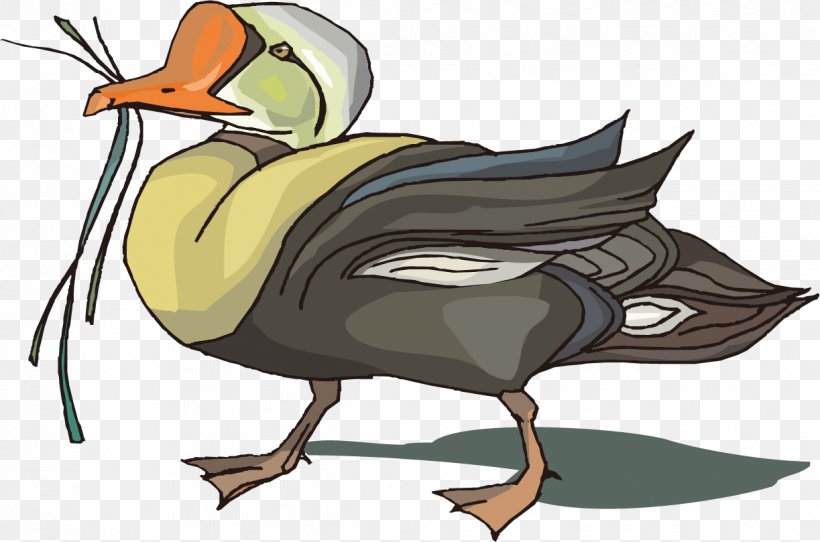 Duck Clip Art Illustration Image, PNG, 1223x809px, Duck, Animal, Architecture, Artwork, Beak Download Free