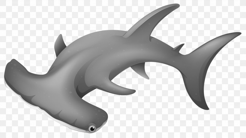Hammerhead Shark Clip Art, PNG, 3000x1681px, Shark, Carcharhiniformes, Cartilaginous Fish, Cartoon, Dolphin Download Free