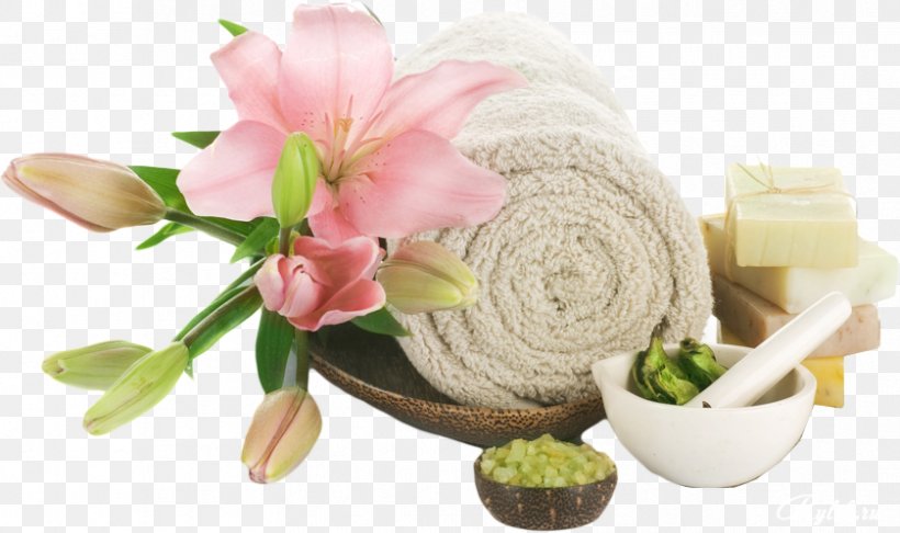 Massage Day Spa Beauty Parlour Facial, PNG, 839x498px, Massage, Beauty Parlour, Cut Flowers, Day Spa, Exfoliation Download Free