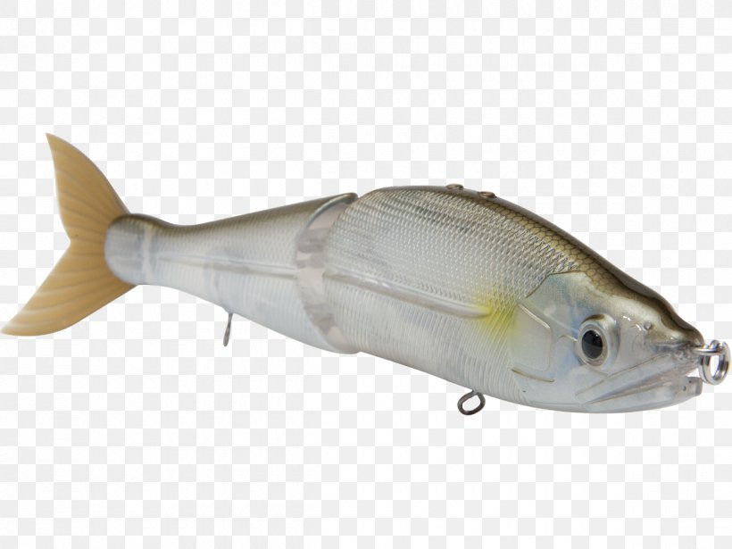 Plug Northern Pike Milkfish Fishing Baits & Lures Swimbait, PNG, 1200x900px, Plug, Bait, Bonito, Bony Fish, Fauna Download Free