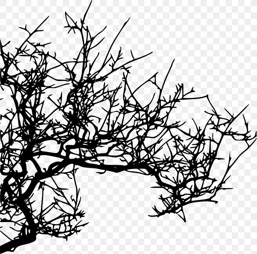 Branch Tree Silhouette, PNG, 2000x1975px, Branch, Artwork, Black And White, Drawing, Flora Download Free