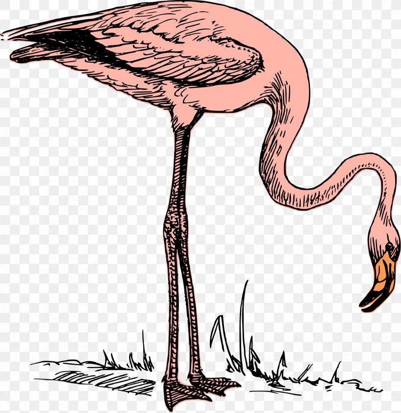 Flamingo Clip Art, PNG, 2328x2400px, Flamingo, Beak, Bird, Blog, Drawing Download Free