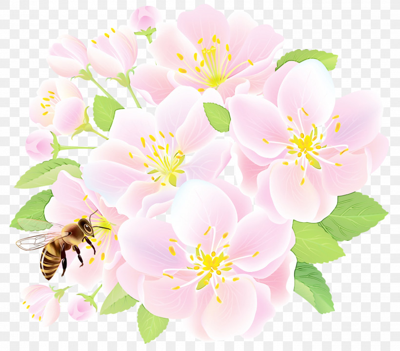 Flower Petal Pink Plant Rosa Rubiginosa, PNG, 2780x2442px, Watercolor, Bee, Blossom, Camellia Sasanqua, Flower Download Free