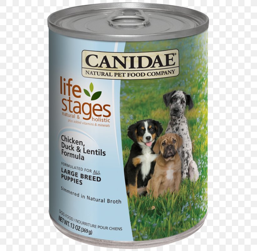 Puppy Dobermann Dog Food Canidae Duck Meat, PNG, 541x800px, Puppy, Breed, Canidae, Canning, Dobermann Download Free