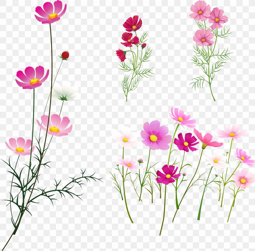 Rangoli Damask Rose Art, PNG, 5068x5000px, Rangoli, Annual Plant, Art, Blossom, Cdr Download Free