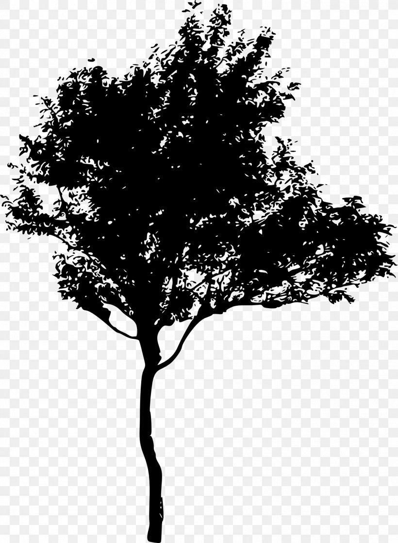 Tree Silhouette Drawing, PNG, 1468x2000px, Tree, Art, Black And White, Branch, Drawing Download Free