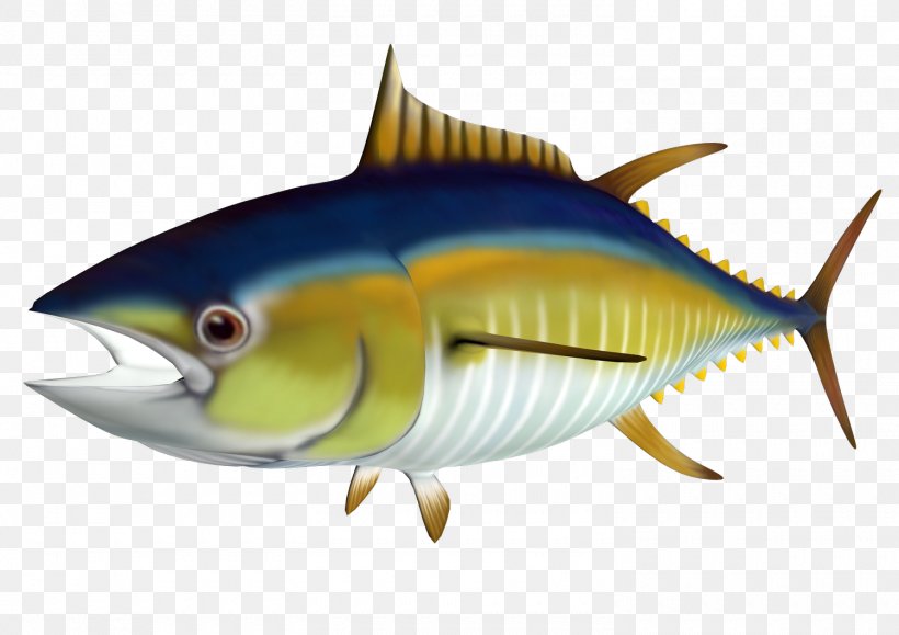 Atlantic Bluefin Tuna Yellowfin Tuna Clip Art, PNG, 1500x1060px, Tuna, Atlantic Bluefin Tuna, Bonito, Bony Fish, Canned Fish Download Free
