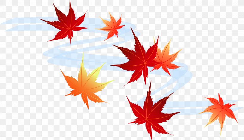 Autumn Leaf Color Season Gratis, PNG, 1476x848px, Autumn Leaf Color, Autumn, Color, Evenement, Festival Download Free