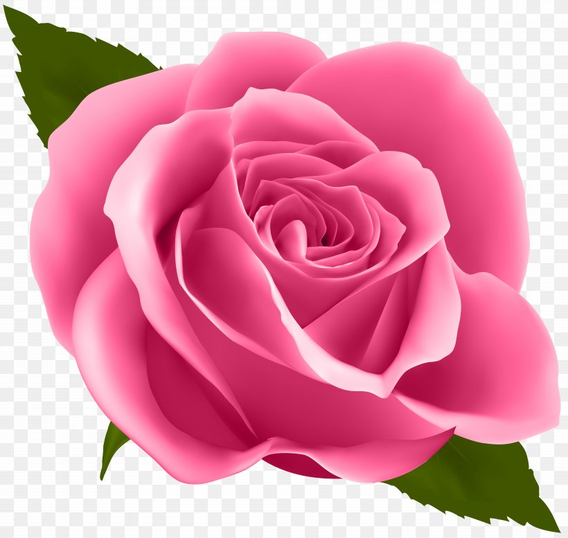Flower Drawing Floral Design, PNG, 8000x7583px, Rose, Blue Rose, China Rose, Close Up, Cut Flowers Download Free