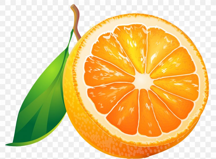 Fruit Orange Tangerine Clip Art, PNG, 2560x1891px, Fruit, Bitter Orange, Citric Acid, Citrus, Clementine Download Free