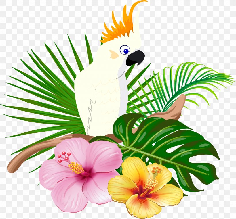 Parrot Bird Floral Design, PNG, 1927x1793px, Parrot, Art, Beak, Bird, Conifers Download Free