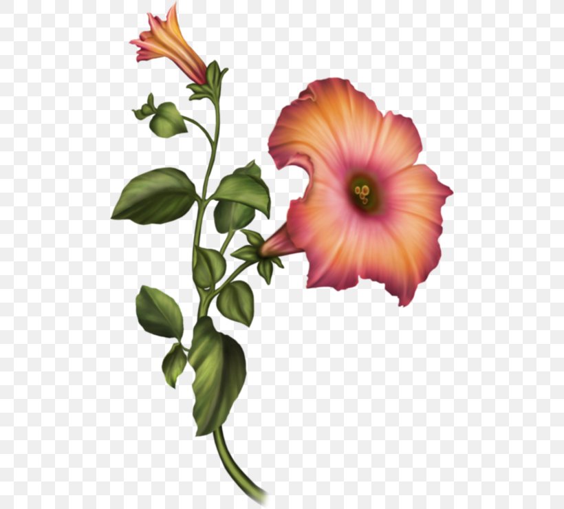 Floral Design Cut Flowers Hibiscus, PNG, 500x740px, Floral Design, Annual Plant, Botany, Cut Flowers, Flower Download Free