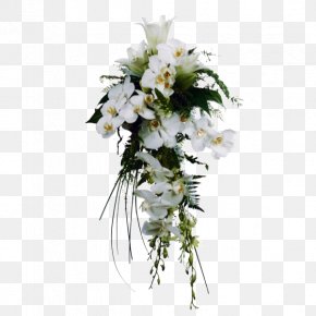 Flores Blancas Images, Flores Blancas Transparent PNG, Free download