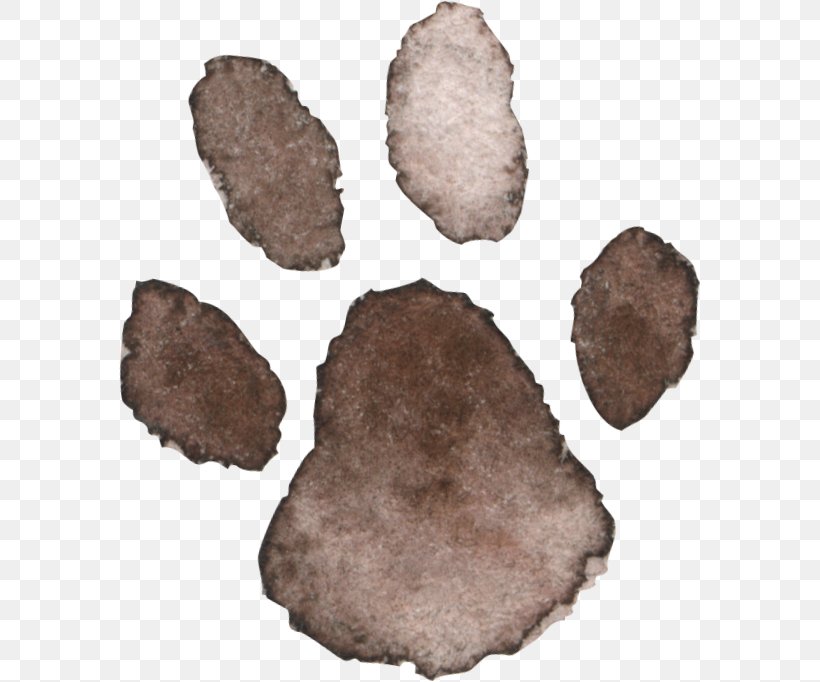 Fur, PNG, 581x682px, Fur, Rock, Stone Tool Download Free