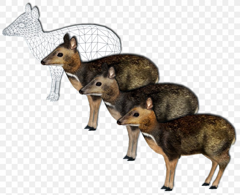 Jackal Philippine Mouse-deer Zoo Tycoon 2: Marine Mania Giraffe, PNG, 915x744px, Jackal, Animal, Canidae, Carnivoran, Chevrotain Download Free