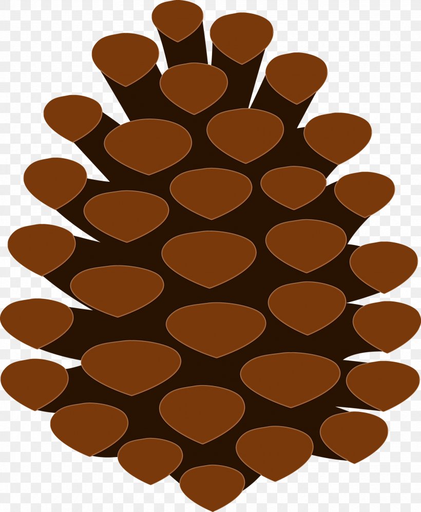 Watercolor Circle, PNG, 2465x2999px, Watercolor, Beige, Brown, Cone, Conifer Cone Download Free