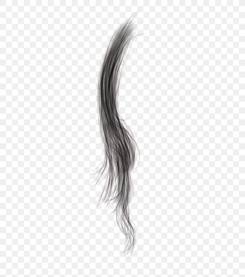 Black Hair Hair Coloring Brown Hair Long Hair, PNG, 304x928px, Black Hair, Arm, Black, Black And White, Brown Download Free