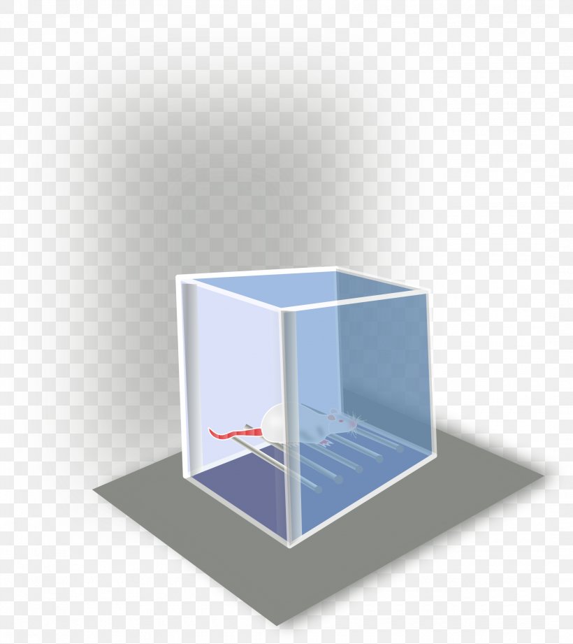 Clip Art, PNG, 2135x2400px, Box, Container, Donation Box, Gift, Glass Download Free
