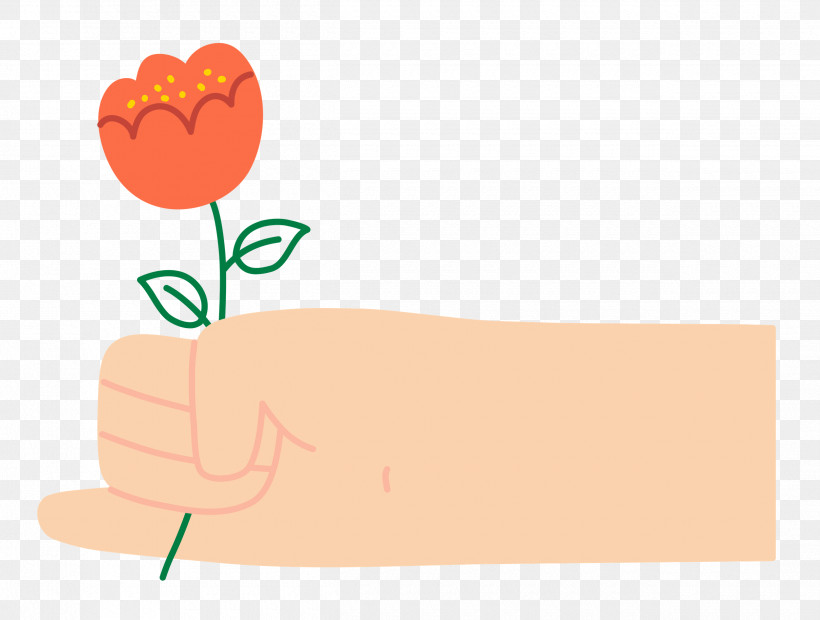 Hand Holding Flower Hand Flower, PNG, 2500x1892px, Hand Holding Flower, Biology, Cartoon, Flower, Hand Download Free