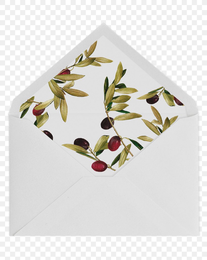 Paper Density Convite Olive Envelope, PNG, 800x1033px, Paper, Convite, Cotton, Envelope, Fruit Download Free