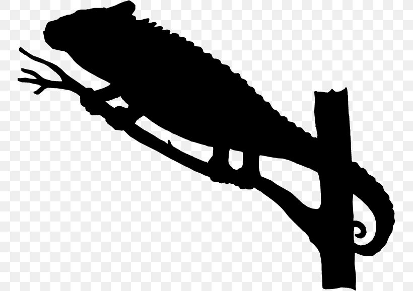 Reptile Clip Art Beak Line Silhouette, PNG, 750x578px, Reptile, Amphibian, Beak, Chameleon, Iguania Download Free