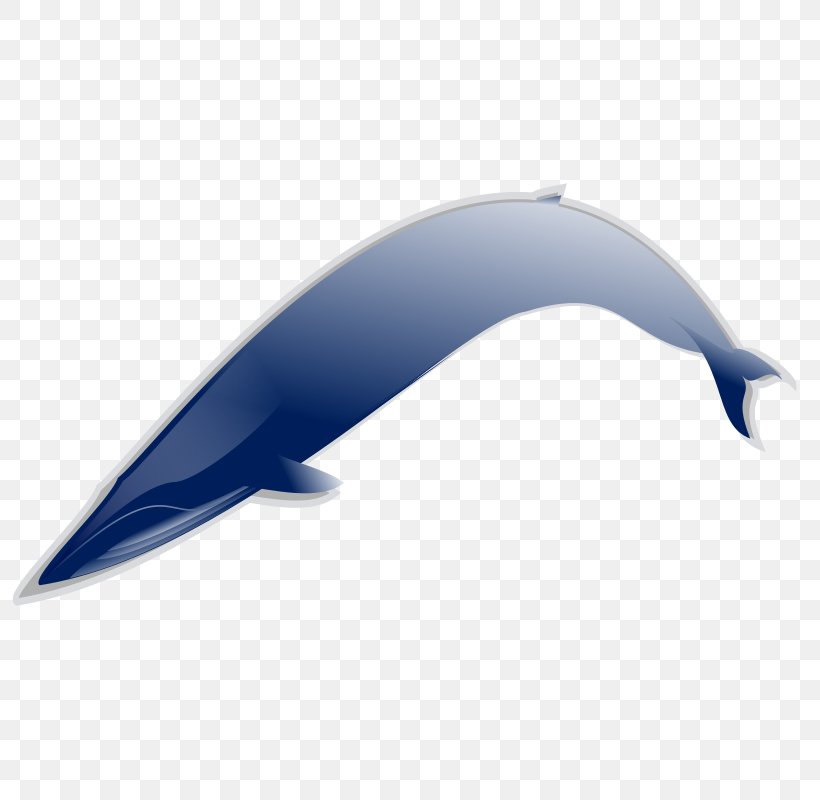 Whale Clip Art, PNG, 800x800px, Whale, Automotive Design, Blog, Blue Whale, Common Bottlenose Dolphin Download Free