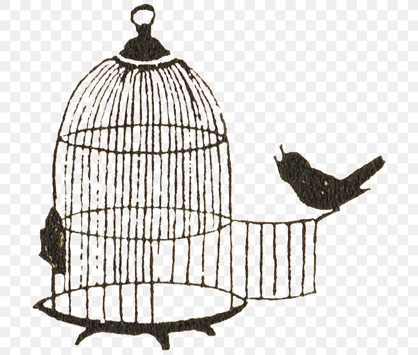 Birdcage Clip Art, PNG, 720x695px, Bird, Art, Birdcage, Cage, Drawing Download Free