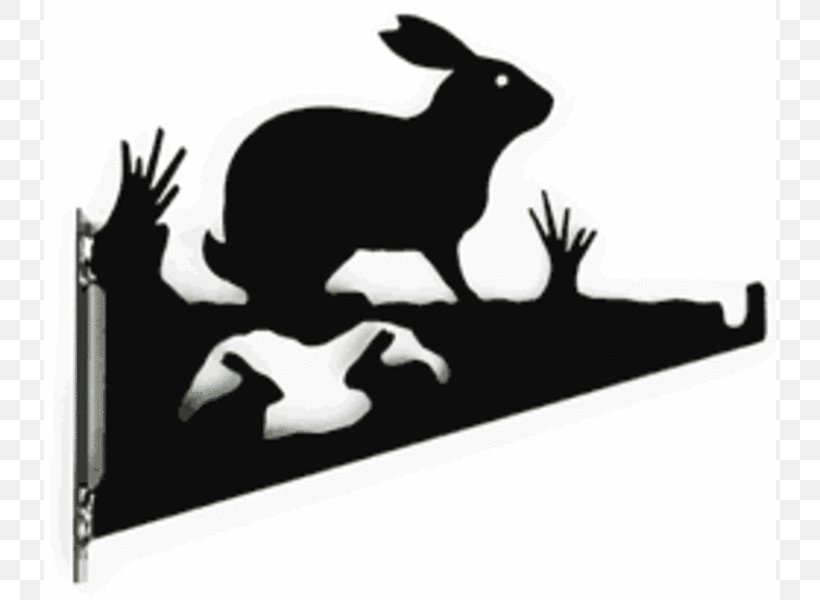 Rabbit Hanging Basket Hare Garden Bracket, PNG, 800x600px, Rabbit, Basket, Bracket, Crocodilla Ltd, Garden Download Free