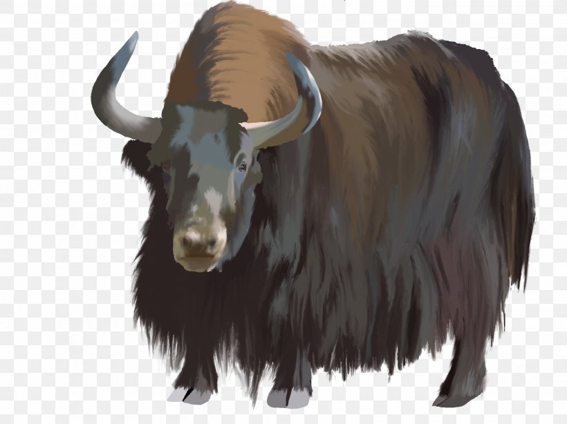 Domestic Yak Clip Art Image Ox, PNG, 2732x2048px, Domestic Yak, Bison, Bovine, Bull, Cowgoat Family Download Free