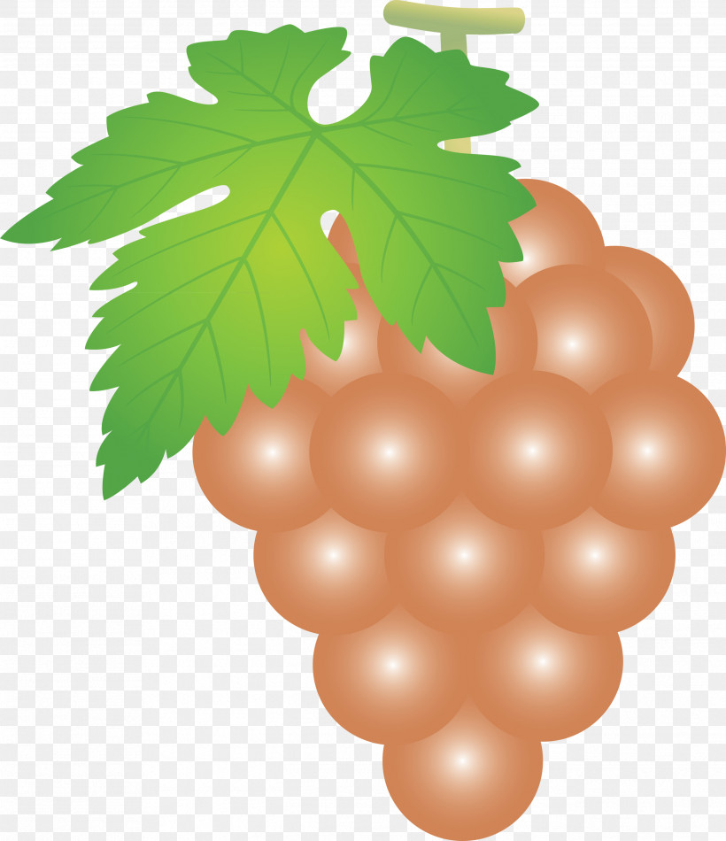 Grape Grapes Fruit, PNG, 2588x2999px, Grape, Currant, Flower, Fruit, Grape Leaves Download Free