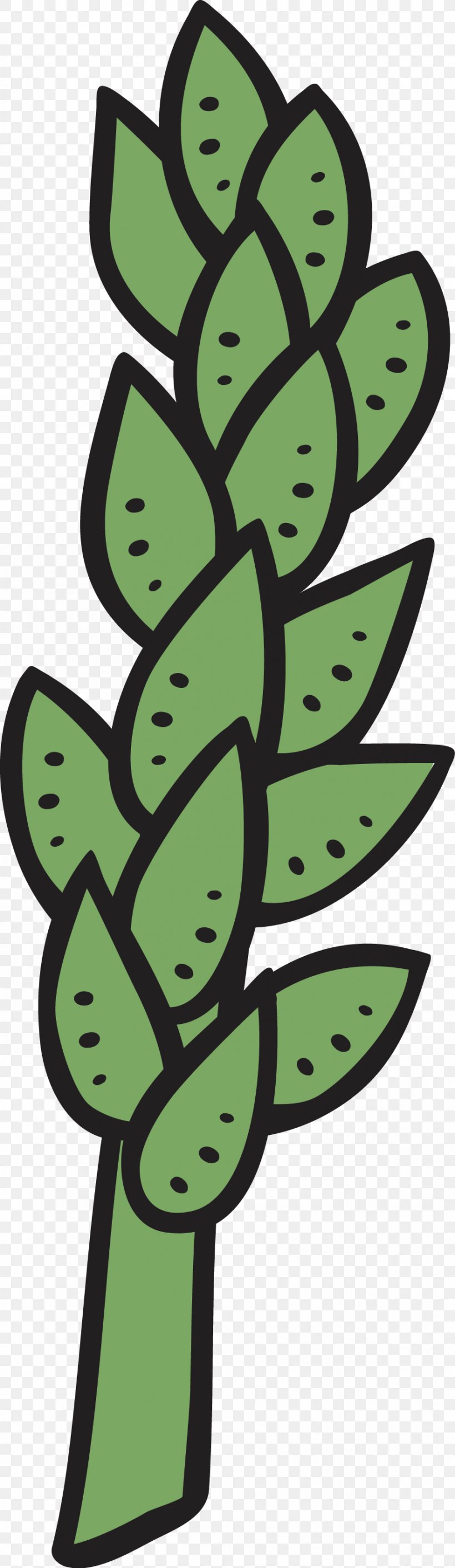 Pilosocereus Leaf Succulent Plant Clip Art, PNG, 886x3052px, Pilosocereus, Art, Cactaceae, Desert, Grass Download Free