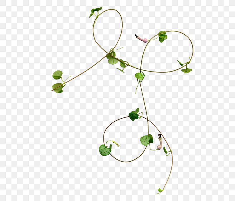 Rattan Green Vine, PNG, 700x700px, Rattan, Body Jewelry, Green, Leaf, Plant Download Free