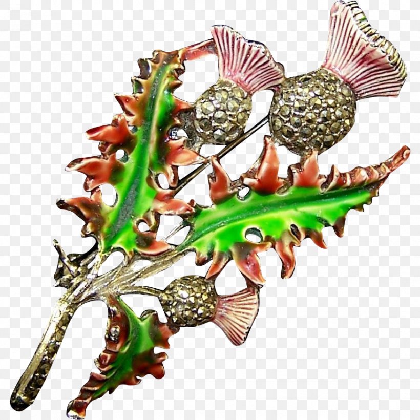 Scotland Thistle Vitreous Enamel Marcasite Jewellery, PNG, 874x874px, Scotland, Brooch, Costume Jewelry, Flowering Plant, Free Download Free