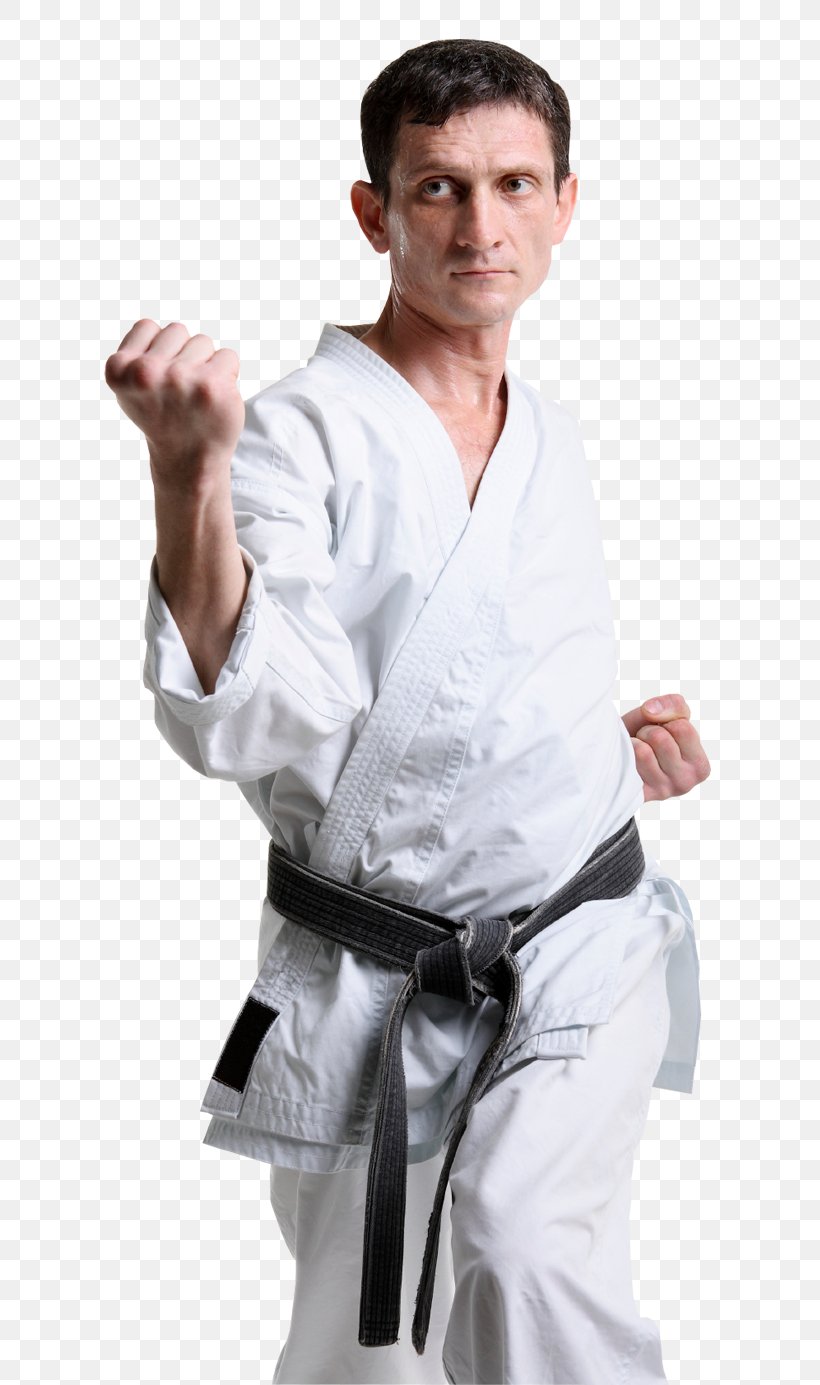 Scott Adkins ATA Martial Arts Karate Taekwondo, PNG, 730x1385px, Scott Adkins, Arm, Ata Martial Arts, Combat Sport, Costume Download Free
