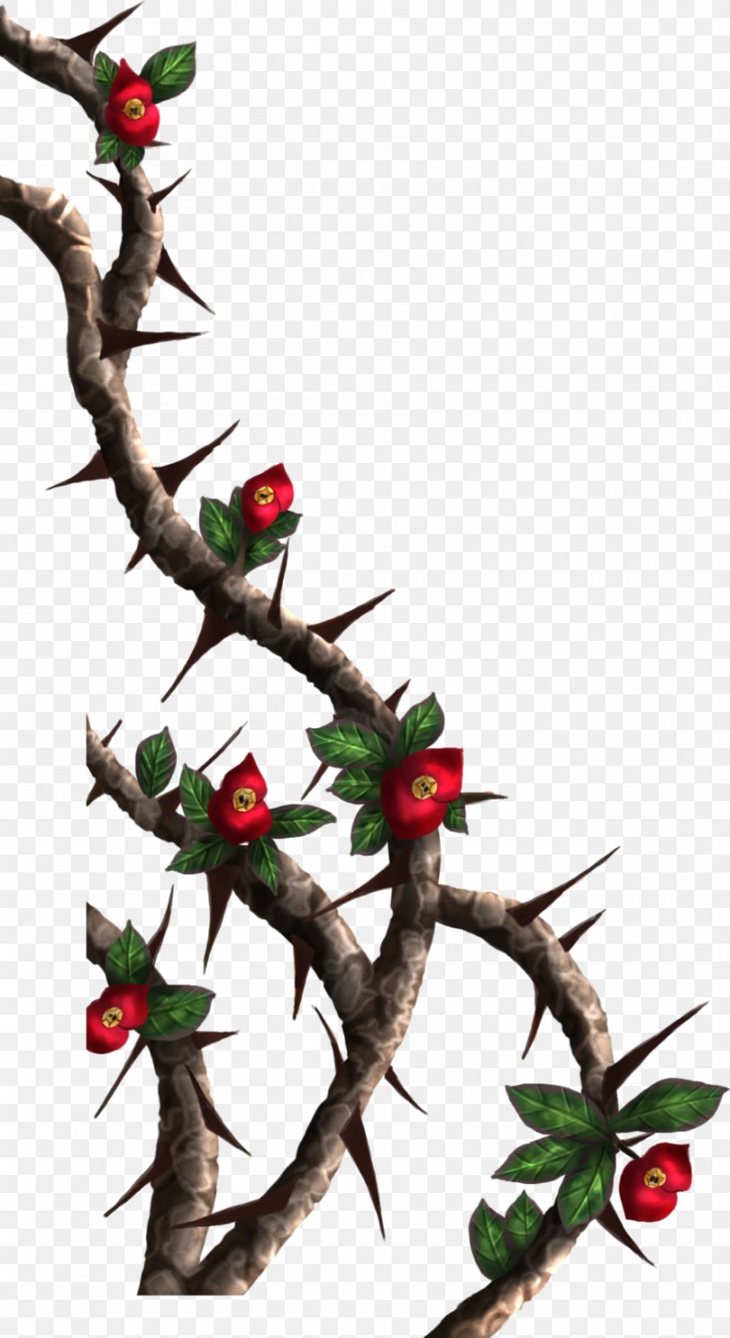 Thorns, Spines, And Prickles Rose Crown Of Thorns Drawing Clip Art, PNG