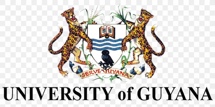 University Of Guyana Berbice Campus Queen's College, Guyana, PNG, 1000x500px, University Of Guyana, Academic Degree, Artwork, Brand, Chancellor Download Free