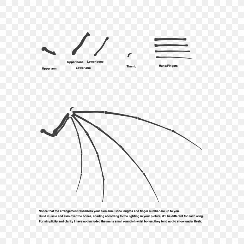 Wing Configuration Bone Architectural Engineering Graphic Design, PNG, 894x894px, Wing, Architectural Engineering, Area, Black, Black And White Download Free
