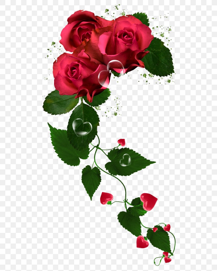 Garden Roses Cabbage Rose Floribunda Flower, PNG, 563x1024px, Garden Roses, Art, Birthday, Cabbage Rose, Cut Flowers Download Free
