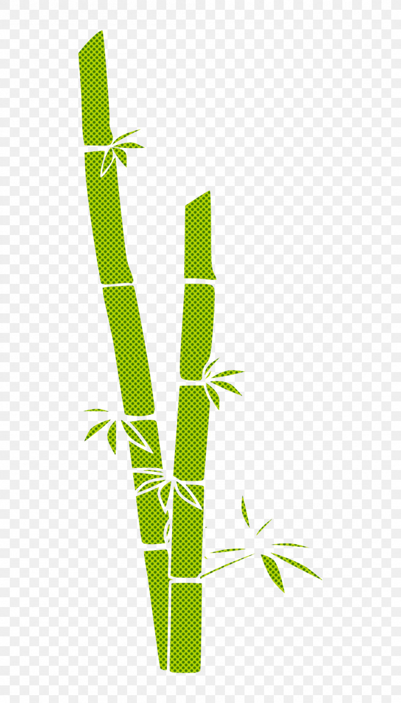 Leaf Plant Stem Plant Grass Family Line, PNG, 999x1750px, Leaf, Bamboo, Flower, Grass Family, Line Download Free