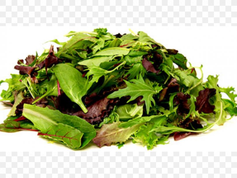 Mesclun Organic Food Poke Bean Salad Chicken Salad, PNG, 1200x900px, Mesclun, Arugula, Basil, Bean Salad, Chicken Salad Download Free