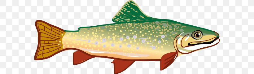 Rainbow Trout Clip Art, PNG, 600x239px, Trout, Blog, Bony Fish, Brown Trout, Coastal Cutthroat Trout Download Free