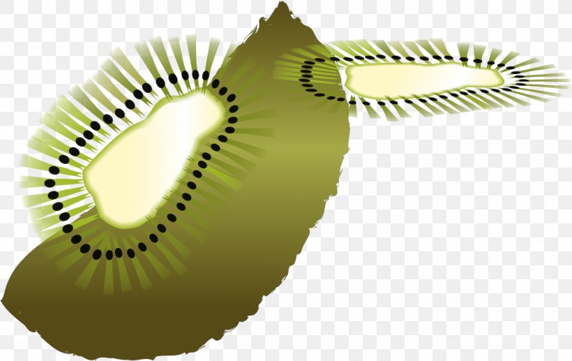 Clip Art Image, PNG, 1158x731px, Royaltyfree, Drawing, Invertebrate, Kiwi, Kiwifruit Download Free