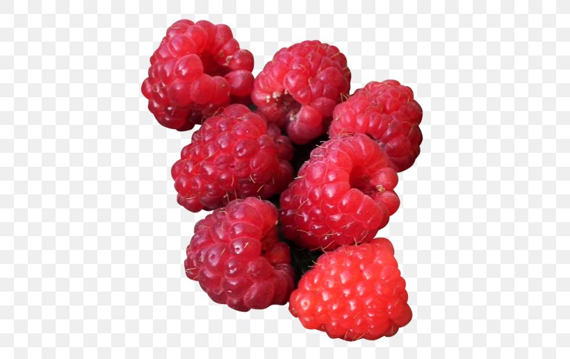 Raspberry Boysenberry Loganberry Tayberry, PNG, 500x517px, Raspberry, Berry, Blackberry, Boysenberry, Cranberry Download Free