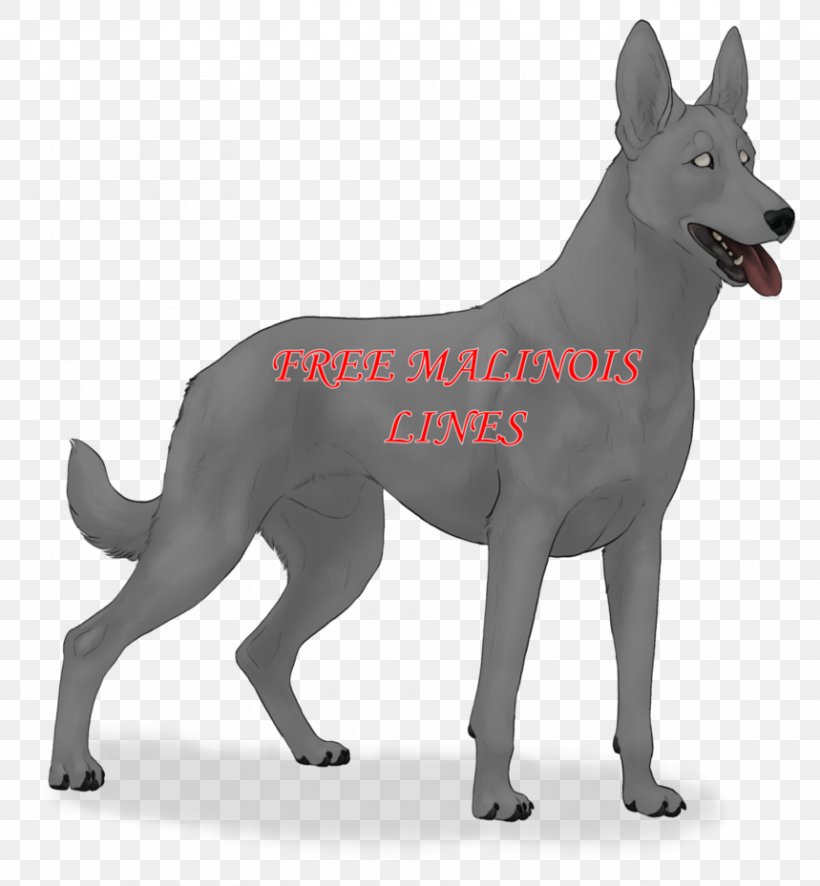 Ancient Dog Breeds Canaan Dog Kunming Wolfdog German Shepherd, PNG, 859x929px, Dog Breed, Ancient Dog Breeds, Breed, Canaan Dog, Carnivoran Download Free